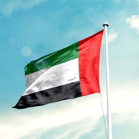 UAE flag