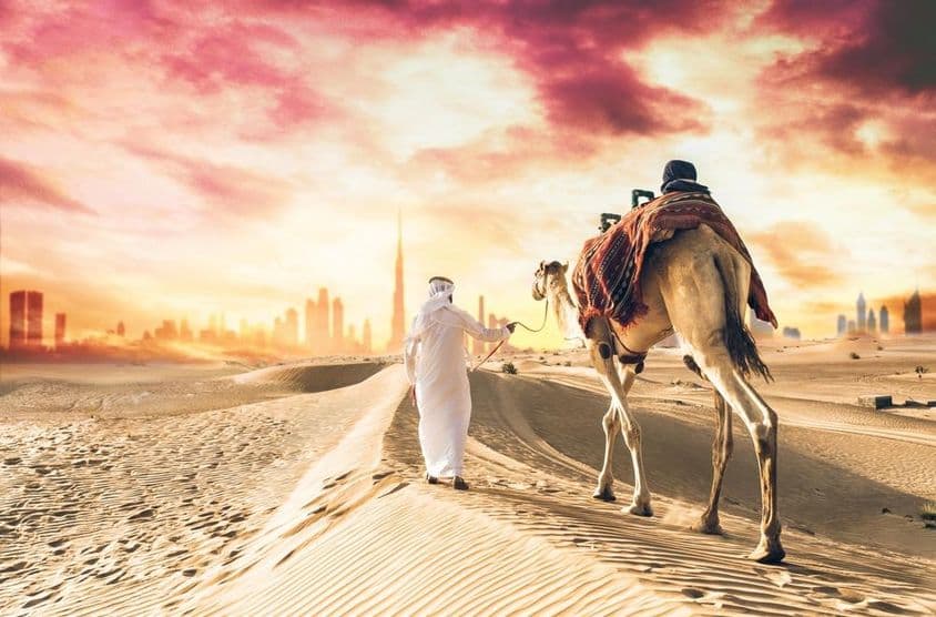 Arabian camel led by an Emirate, with Burj Khalifa in background.