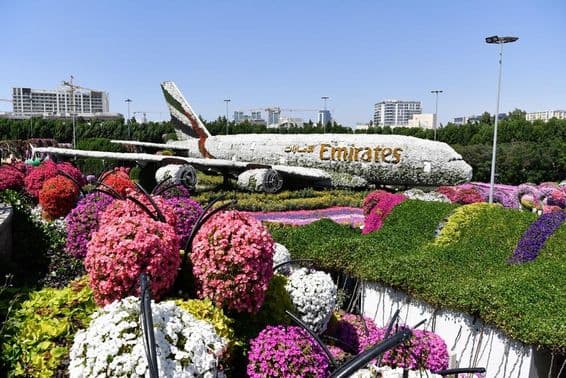 Emirates A380 model, at Dubai Miracle Garden, 150 million natural flowers