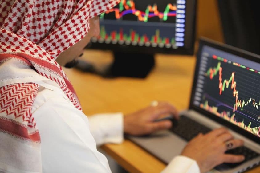 Emirates citizen viewing a graph on a laptop with a background.