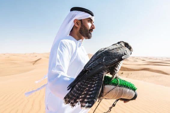 An Emirati hunter holding a falcon on his arm in the desert.