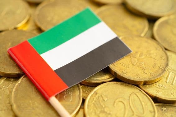 Euro coins with the UAE flag above.