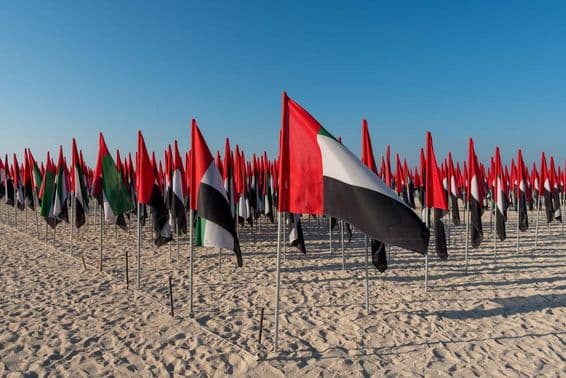 UAE flags planted on a beach.
