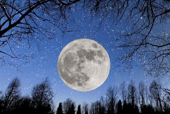 Full moon in a starry sky.