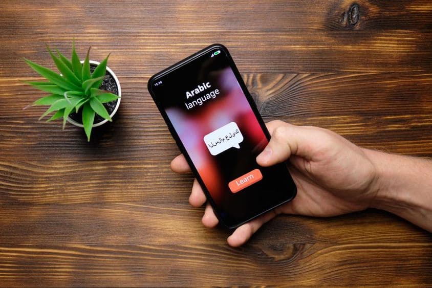 Dictionary running on a phone.