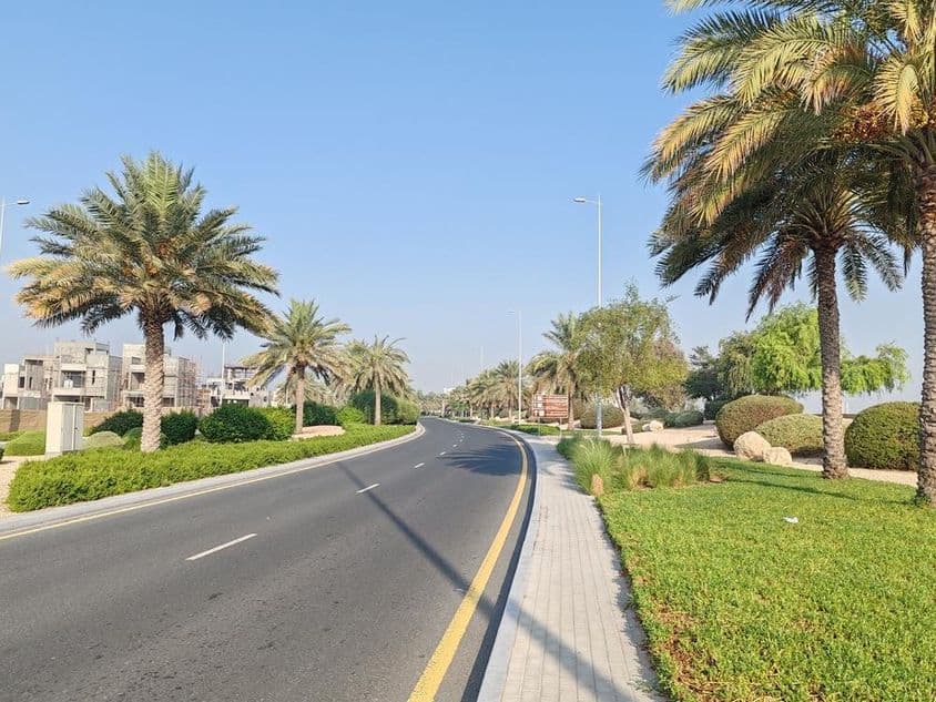 Dubai road with palm trees and green grass.