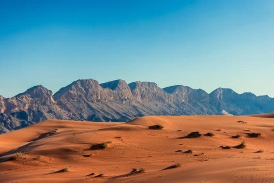 UAE desert with mountains in the background.