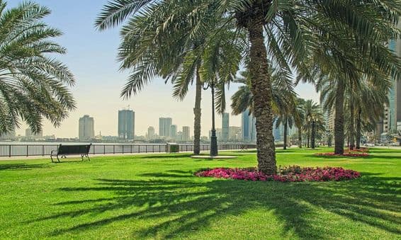 Green lawn near the waterfront in Sharjah.