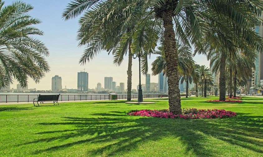 Green lawn near the waterfront in Sharjah.