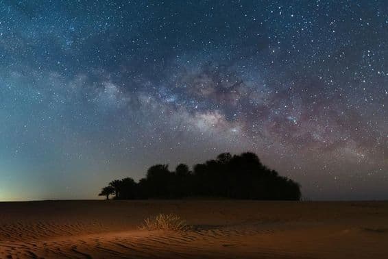 Night stars fill the milky sky over Oasis desert.