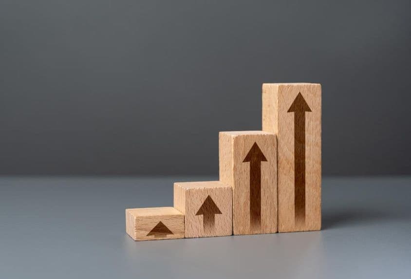 Growth indicators made from wooden blocks.
