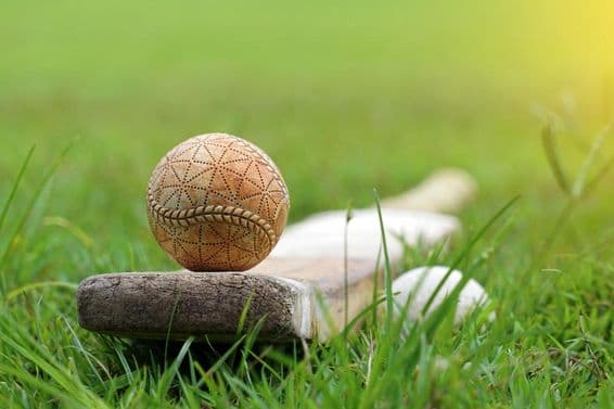 White cricket ball and cricket bat on grass.
