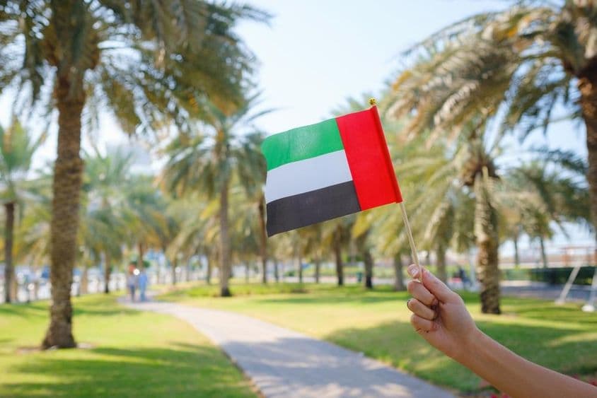 A woman's hand holding a miniature United Arab Emirates flag in an Abu Dhabi park.