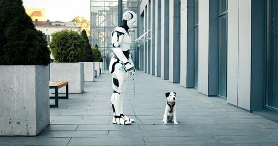 AI-powered robot walking a dog in the morning.