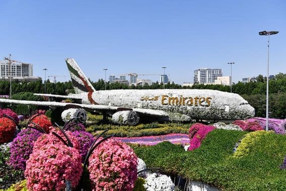 Dubai Miracle Garden during the day.