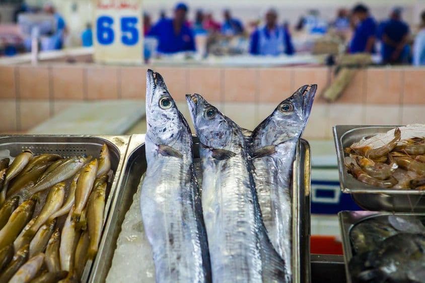 Abu Dhabi, fish market shrimp on ice.