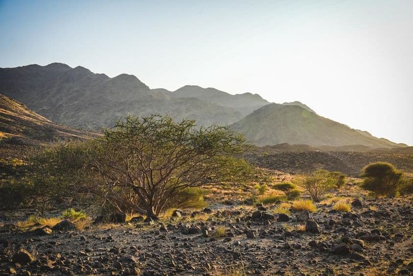 The rugged terrain of Wadi Shawka in Ras Al Khaimah with rocky trails.