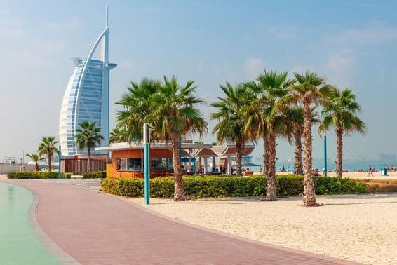Beautiful beachfront with palm trees in Dubai.