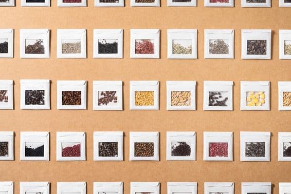 Various vegetables and spices' colorful seeds isolated in small handmade envelopes.