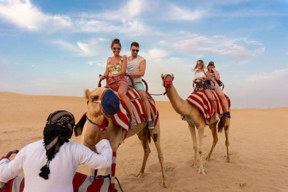 Camel rides in the desert with two decorated camels.