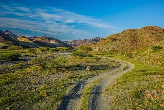Green mountains in the United Arab Emirates.