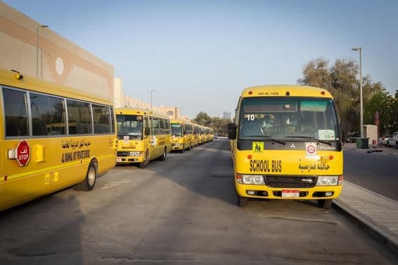 Yellow school buses lined up and parked in Abu Dhabi.