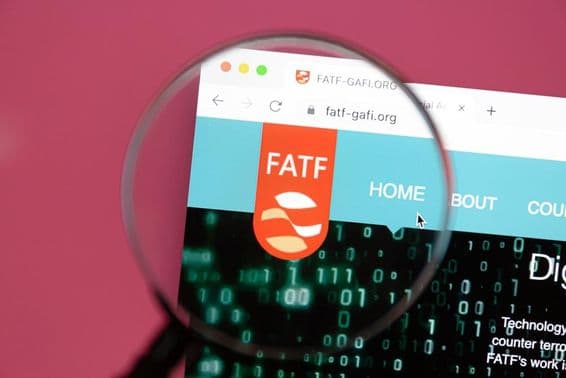 Financial Action Task Force (FATF) global supervisory body.