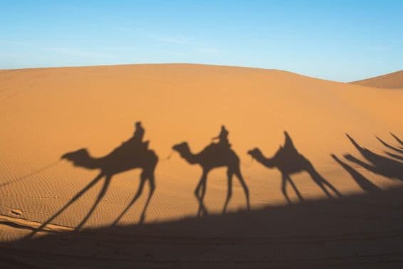 The shadow of a camel on the sand dunes of the Sahara desert.
