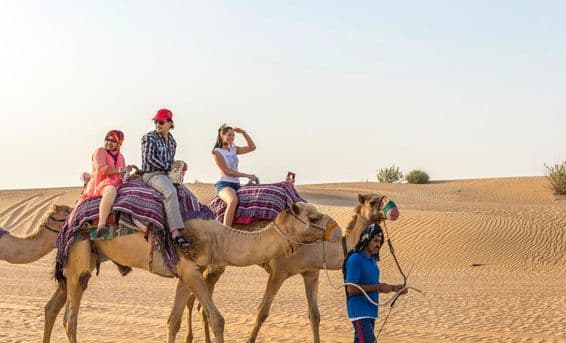 Tourists on a camel ride in the Dubai desert.
