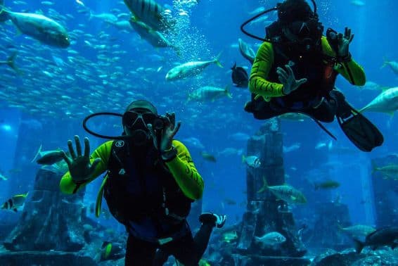 Large aquarium at Hotel Atlantis in Dubai, United Arab Emirates.