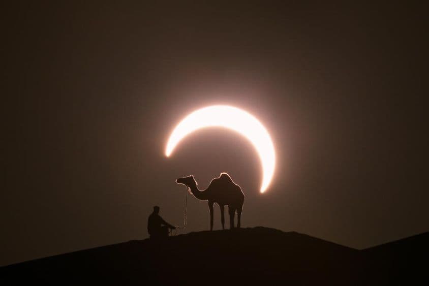 Annular solar eclipse in the desert with a silhouette of a dromedary camel.