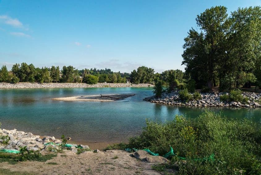 The Bow River bank in Calgary, Alberta, Canada.