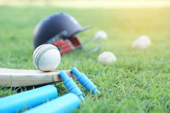 White cricket ball on a wooden bat.