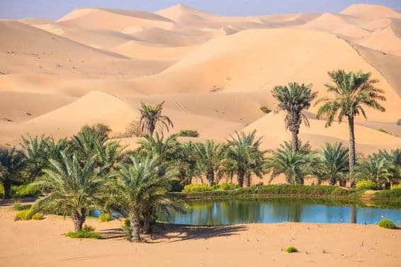 Al Ain, Abu Dhabi, United Arab Emirates.