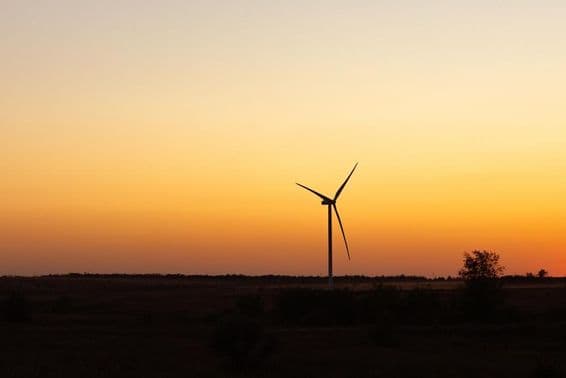 Wind turbines on a summer evening.