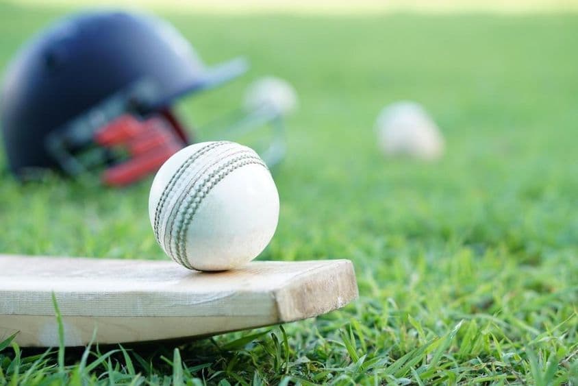 White cricket ball on wooden bat.