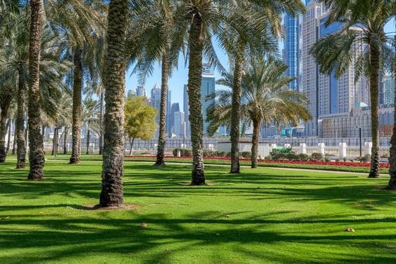 Green oasis in the heart of Dubai.
