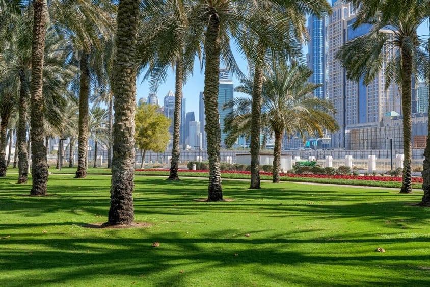 Green oasis in the heart of Dubai.