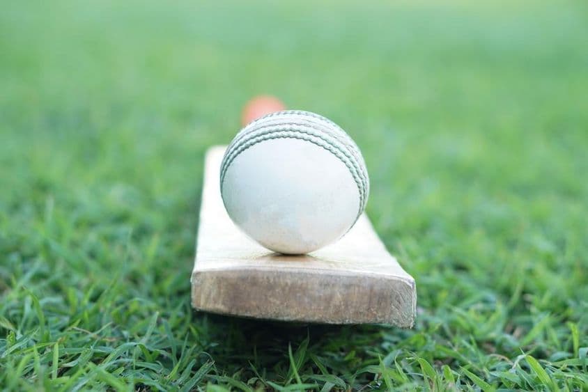White cricket ball on wooden bat.