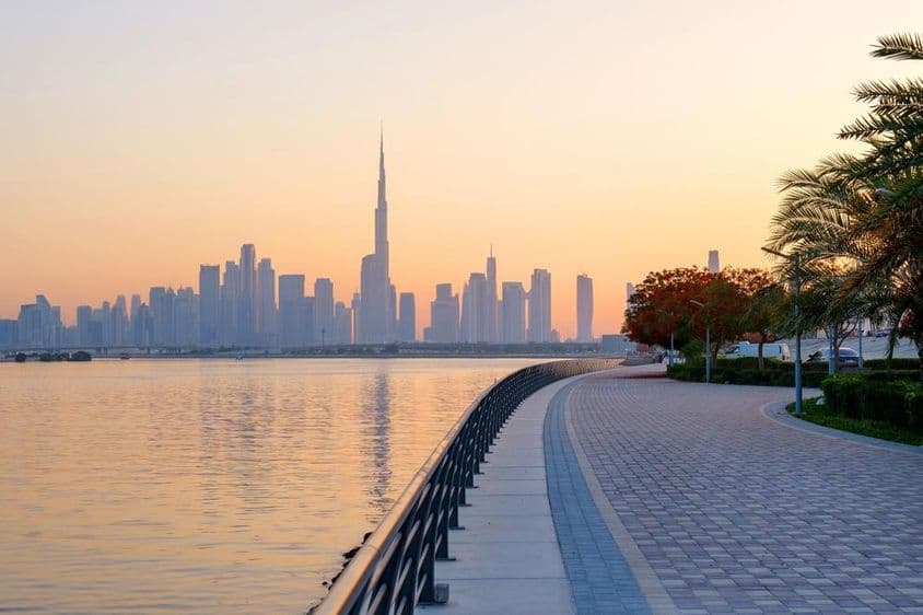 Beautiful waterfront with blooming trees, view of downtown Dubai.