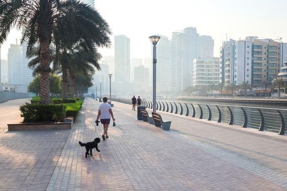 A woman walking her dog in the city during early morning sunshine.