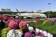 Dubai Miracle Garden during the day.