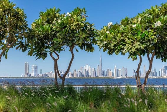 View of downtown Dubai from the Dubai Creek canal.