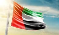 The UAE flag waves in the beautiful sky.