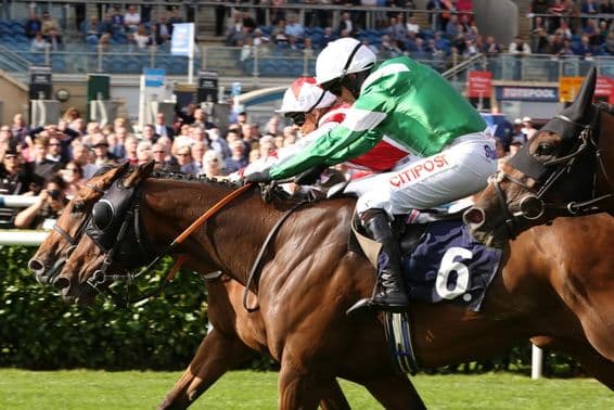 Legendary horse race, just winning by a nose.