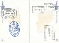 Immigration stamps in a French passport.