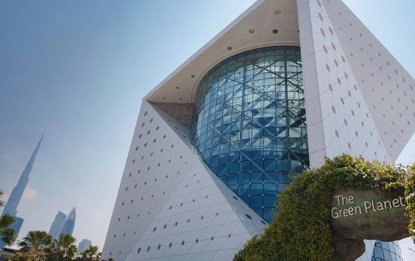 A unique ecosystem on the green planet in Dubai.