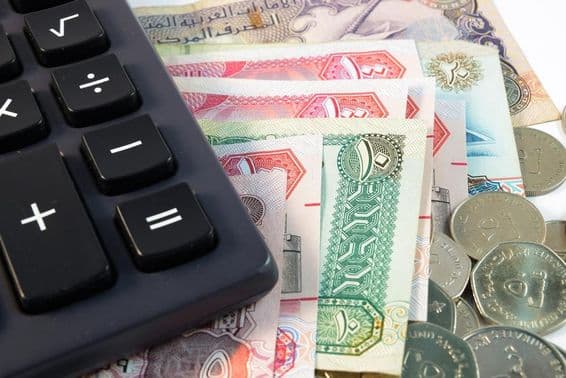 Close-up of various banknotes and coins from the United Arab Emirates.