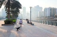 A woman walks her dog in the city under early morning sunlight.
