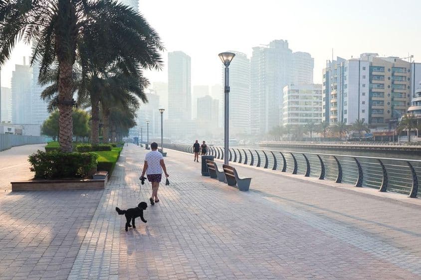 A woman walks her dog in the city under early morning sunlight.